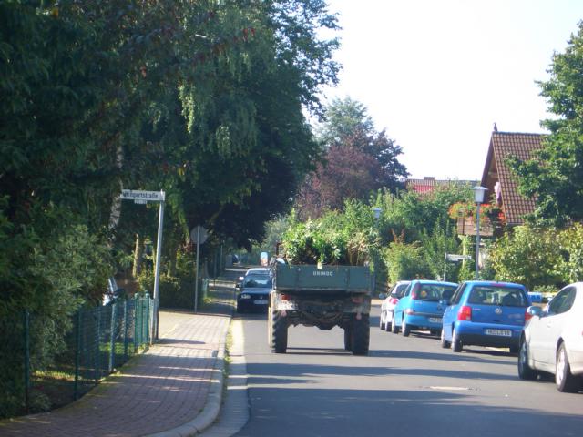 CIMG0175.JPG